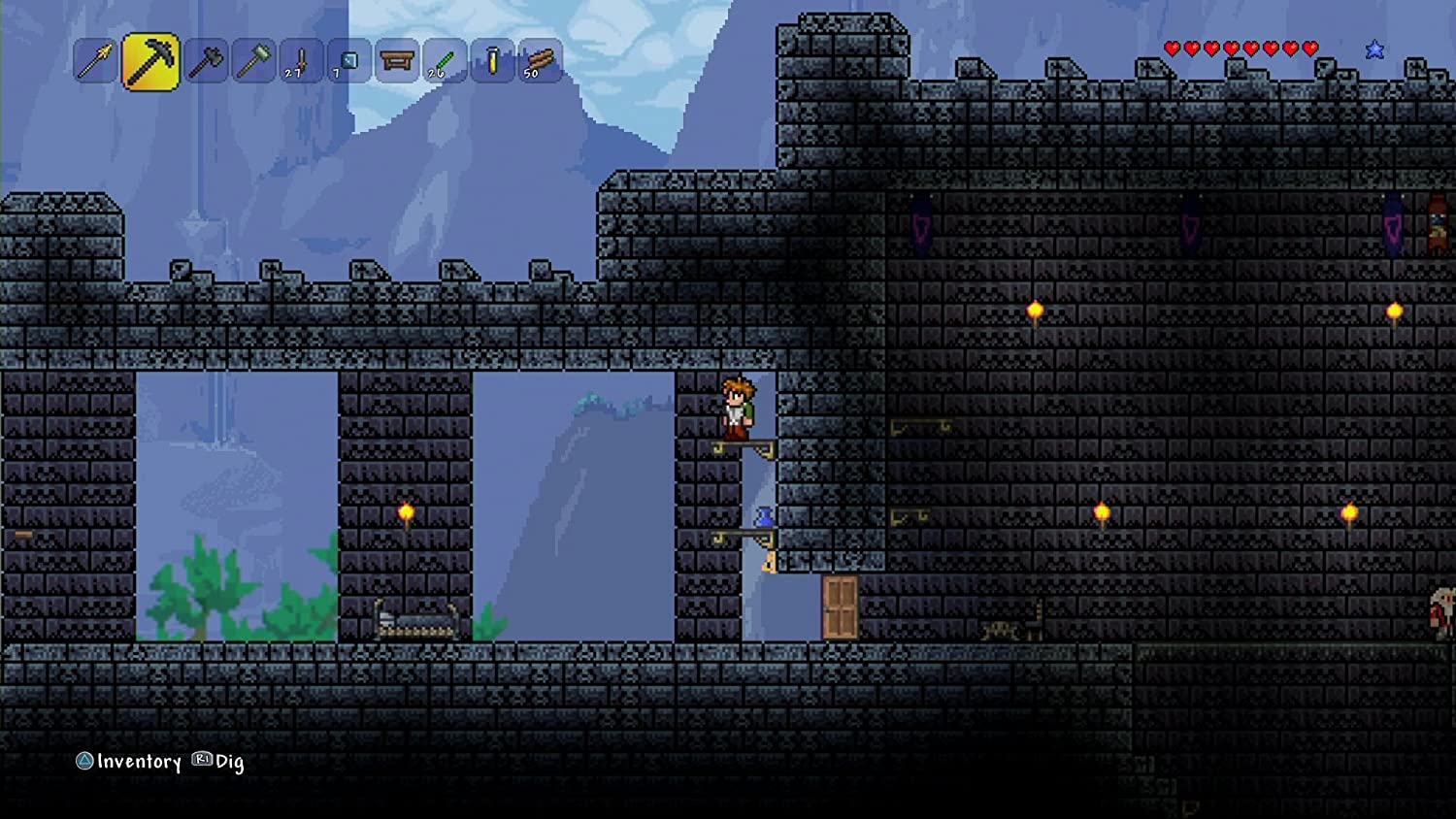 Terraria for nintendo switch фото 83