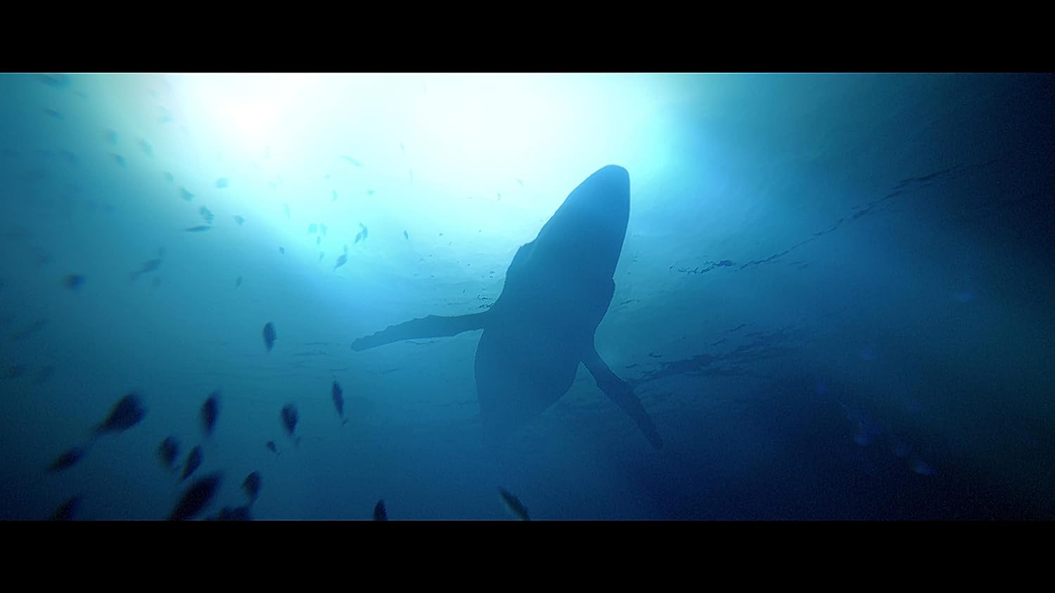 Скриншоты Under The Waves [В глубинах океана][PS5, русская версия] интернет-магазин Омегагейм