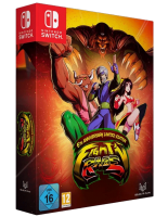 Fight'n Rage: 5th Anniversary Limited Edition [Nintendo Switch, английская версия]