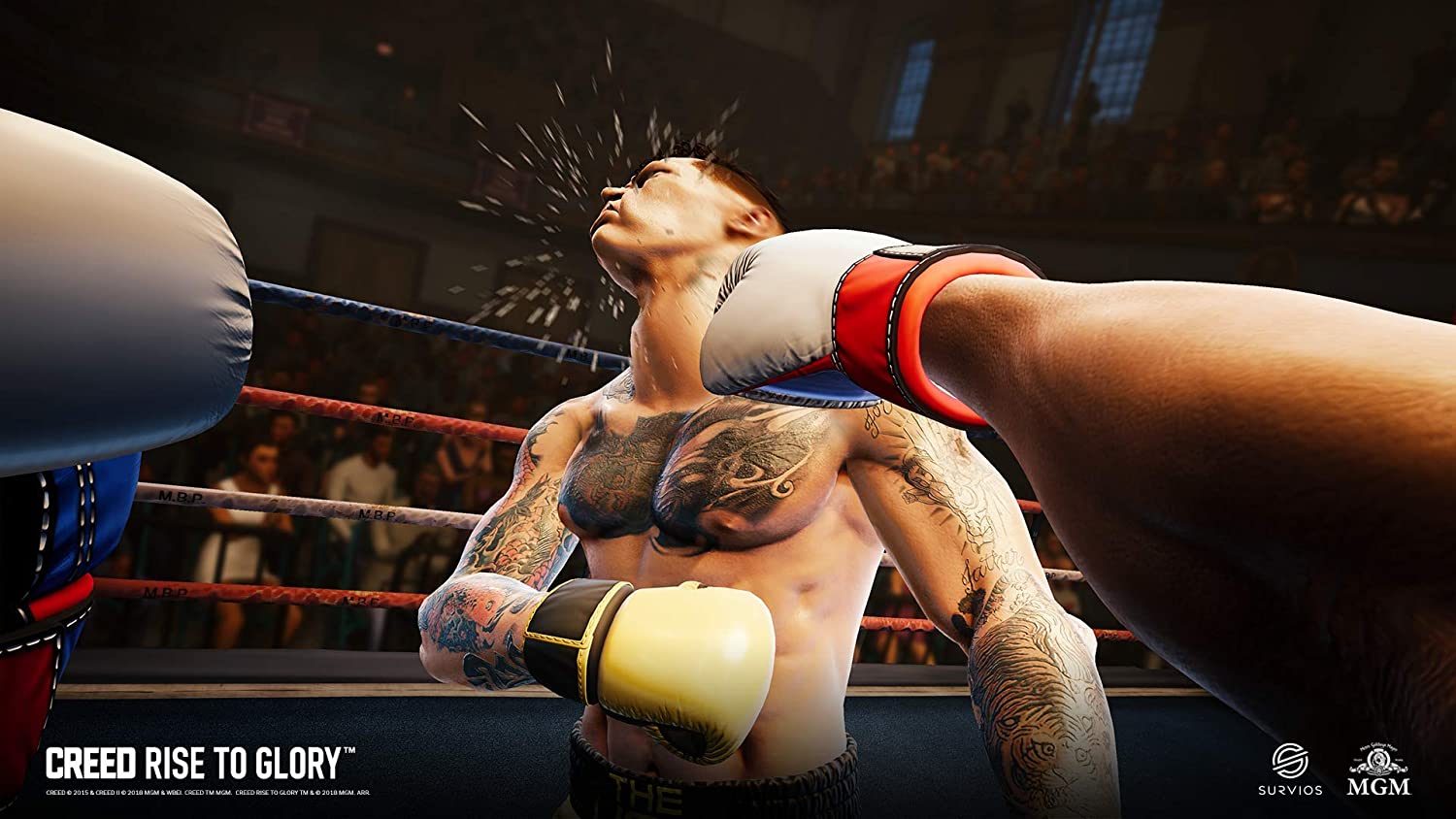 Скриншоты Creed: Rise to Glory [PS VR, английская версия] интернет-магазин Омегагейм